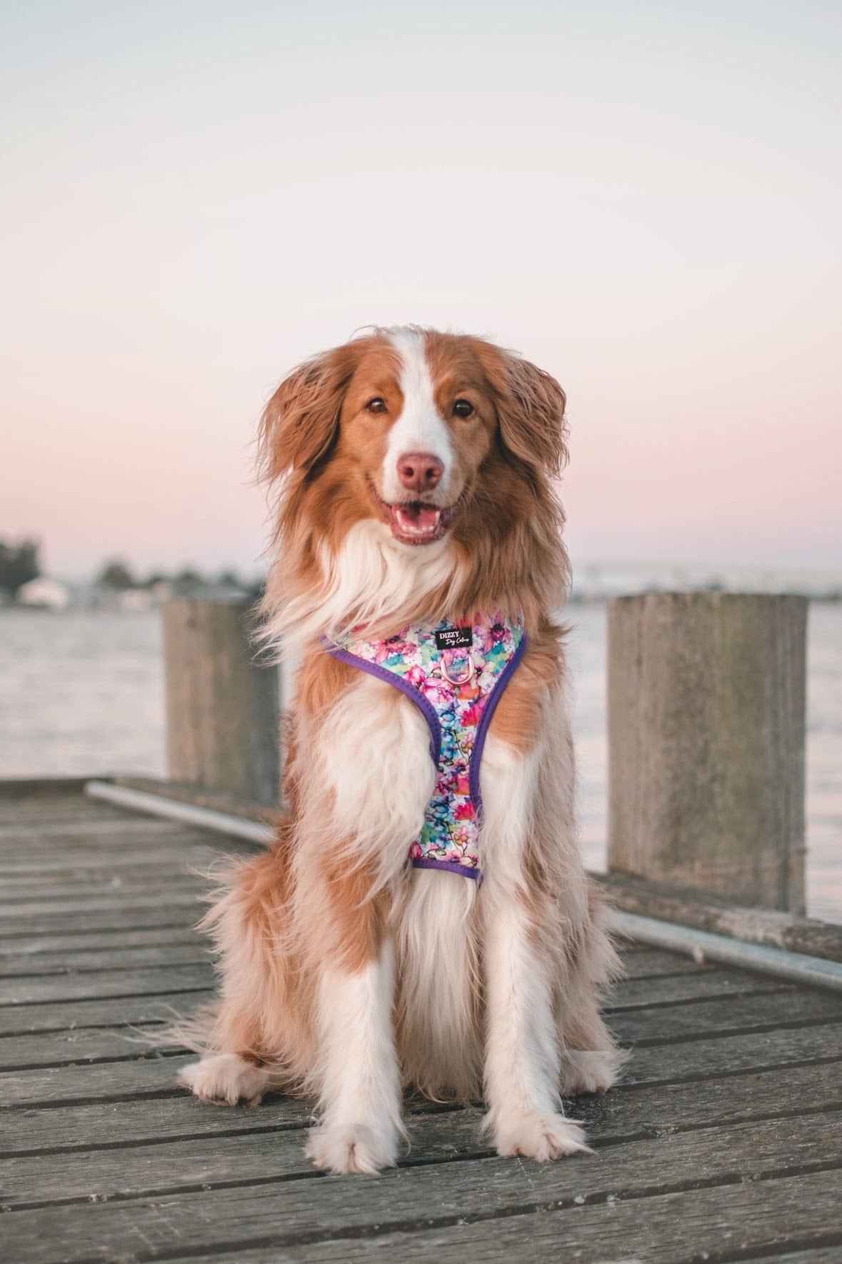 DOG HARNESS | The Willow: Watercolour Floral | Neck Adjustable Dog Harness-Fabric Harness-Dizzy Dog Collars