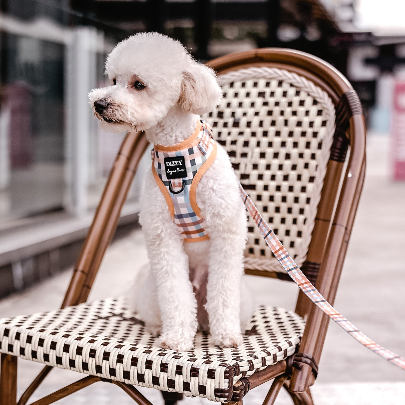 DOG HARNESS | Vintage Gingham | Neck Adjustable Dog Harness-Fabric Harness-Dizzy Dog Collars