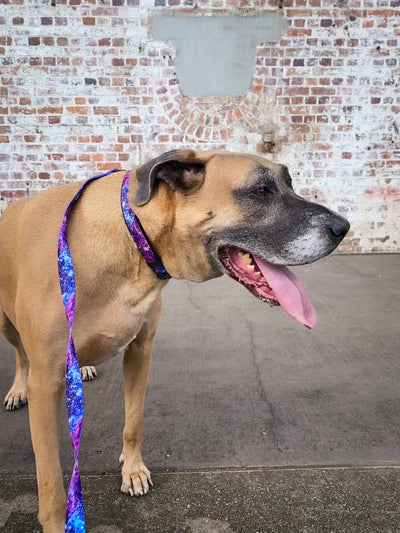 Dog Leash - Galaxy-Leash-Dizzy Dog Collars