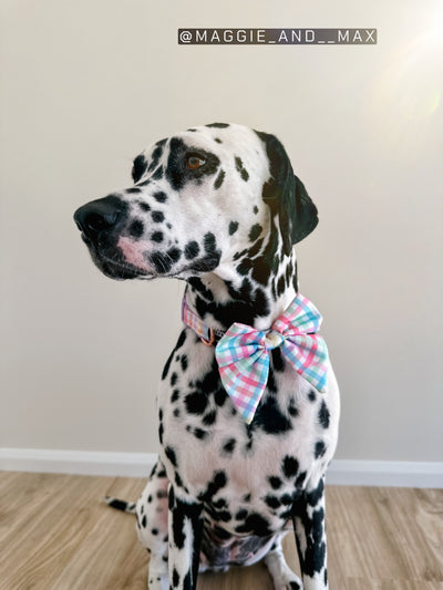 Dog Sailor Bow Tie | Sherbet Gingham-Bow-Dizzy Dog Collars