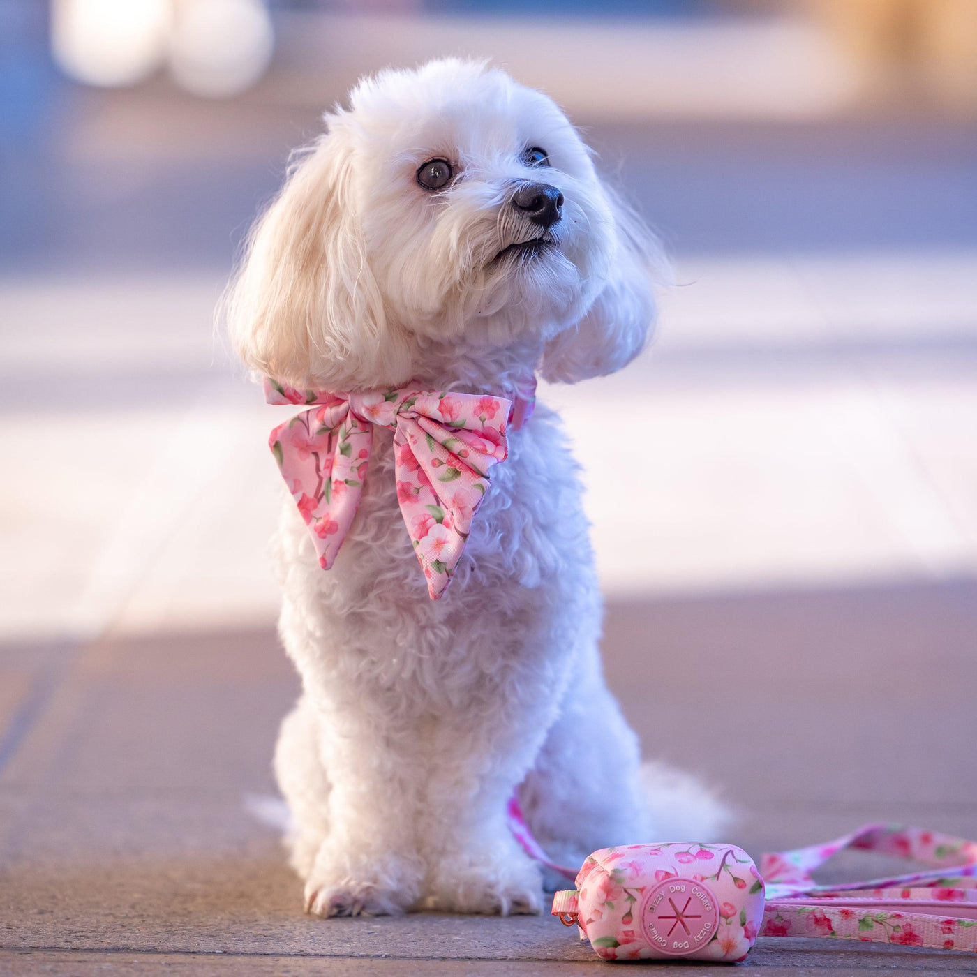 Dog Sailor Bow Tie | Sweet Sakura-Dizzy Dog Collars