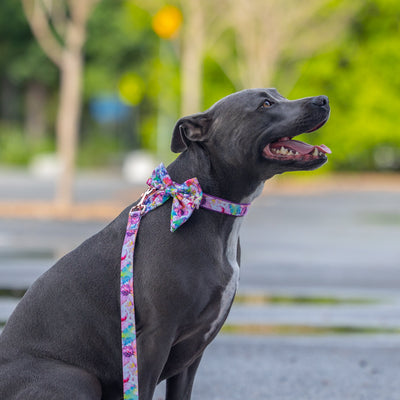 Dog Sailor Bow Tie | The Willow: Watercolour Floral-Bow-Dizzy Dog Collars