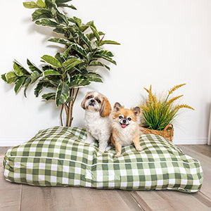 Two small dogs on a green checkered pet bed with plants in the background