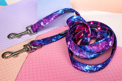 Double Ended Training Lead | Hands-free dog lead | Galaxy-Dizzy Dog Collars