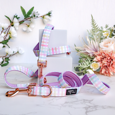 COMING SOON | Double Ended Training Lead | Hands Free - Crossbody Dog Lead | Sherbet Gingham-hands free-Dizzy Dog Collars