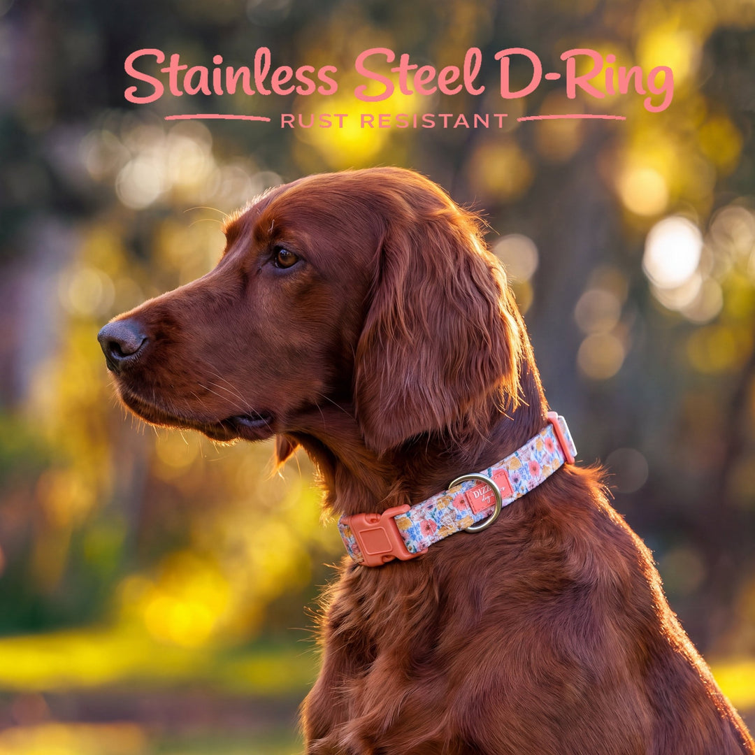 Peachy Posies Dog Collar | Neoprene Dog Collar