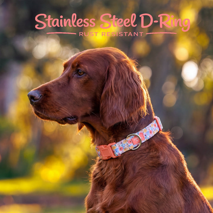 Peachy Posies Dog Collar | Neoprene Dog Collar
