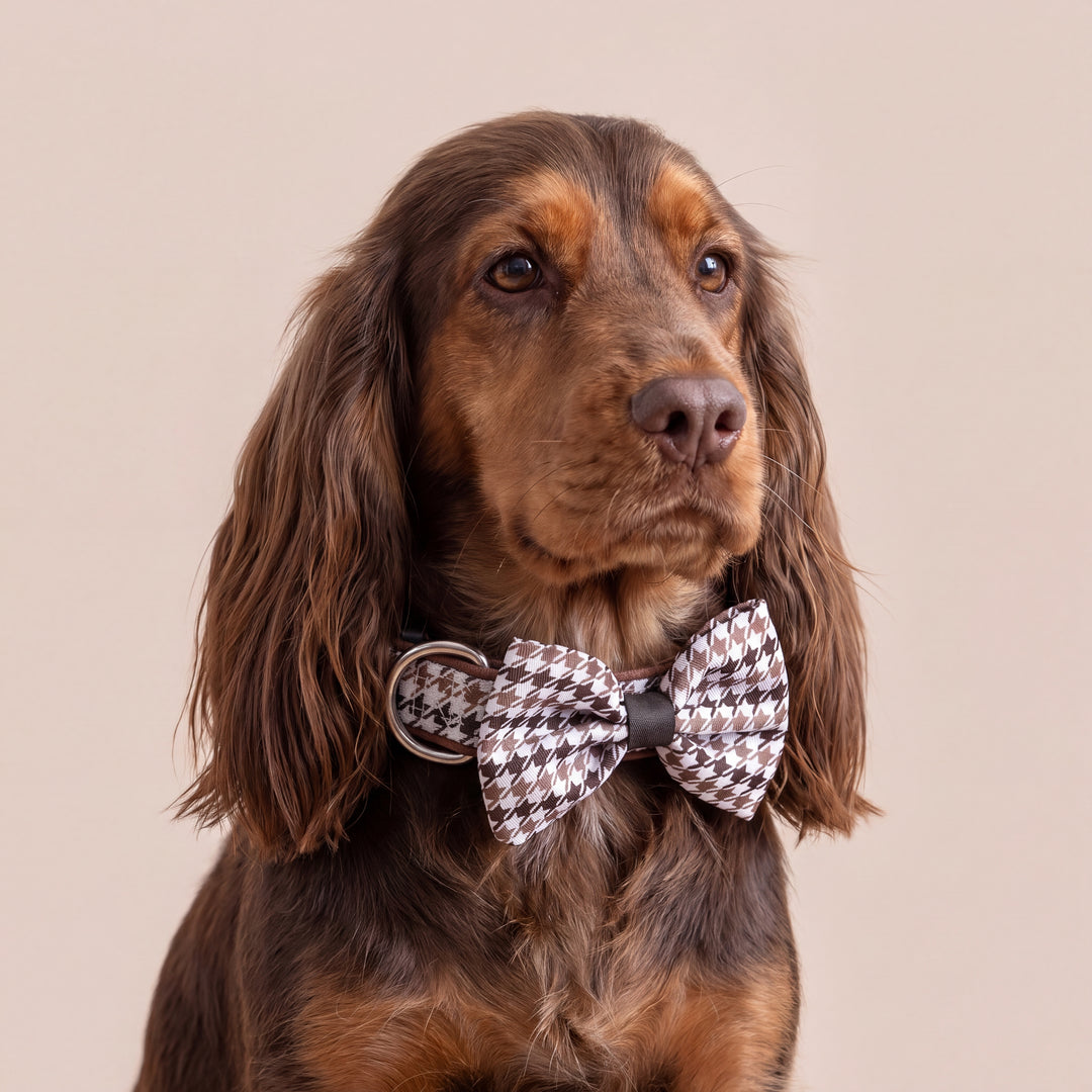 Chestnut Tweed Dog Bow Tie