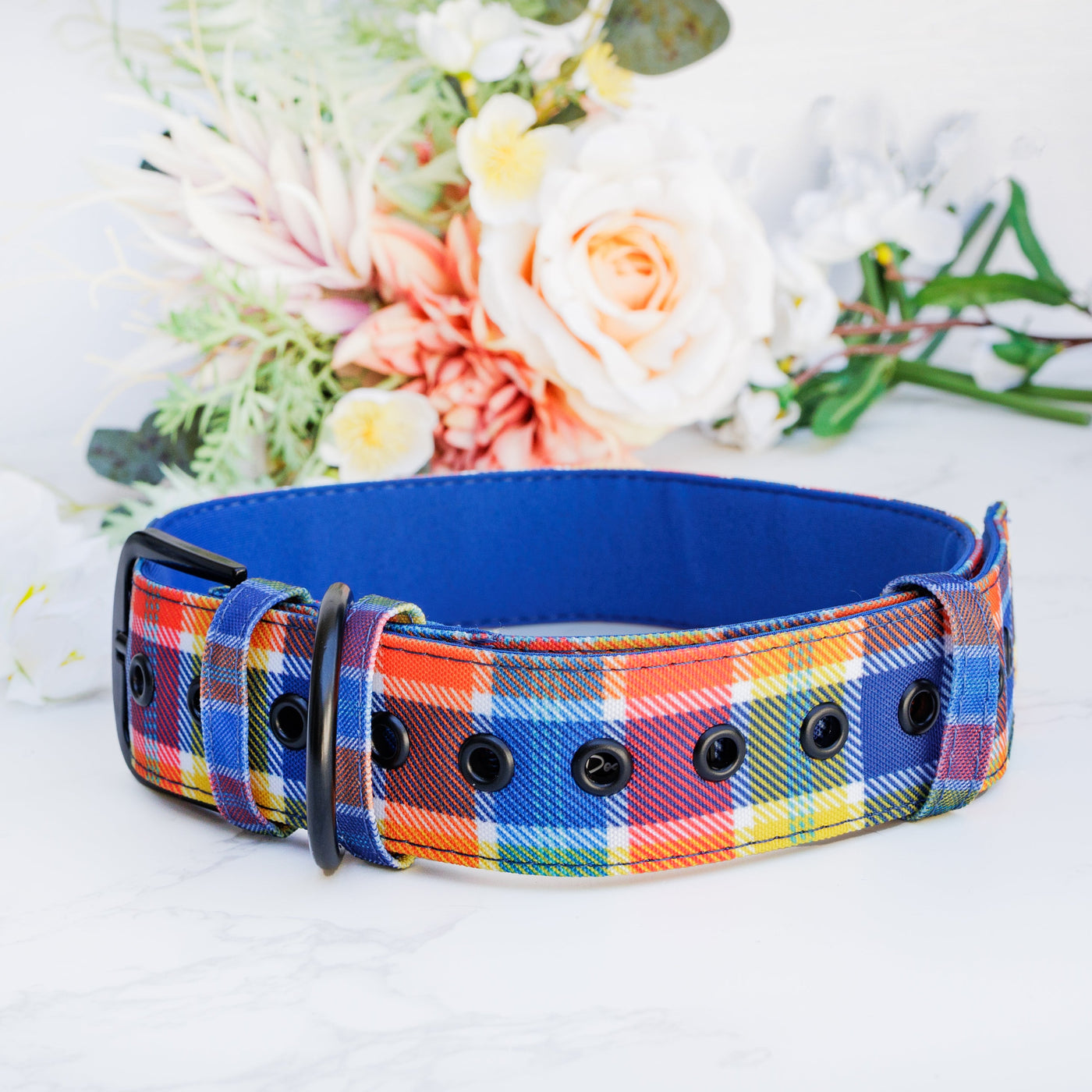 Extra Wide 3.8cm - Country Plaid Belt Buckle Dog Collar | Canvas & Neoprene-Dog Collar-Dizzy Dog Collars
