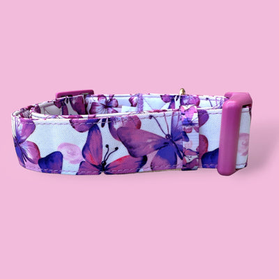 Extra Wide /// Candy Sky Butterfly Dog Collar | Canvas & Neoprene Dog Collar | Pink Butterflies-Dog Collar-Dizzy Dog Collars