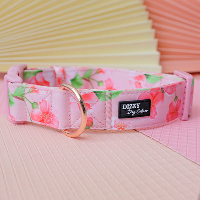 Extra Wide // Sweet Sakura Dog Collar | Canvas & Neoprene Dog Collar-Dog Collar-Dizzy Dog Collars