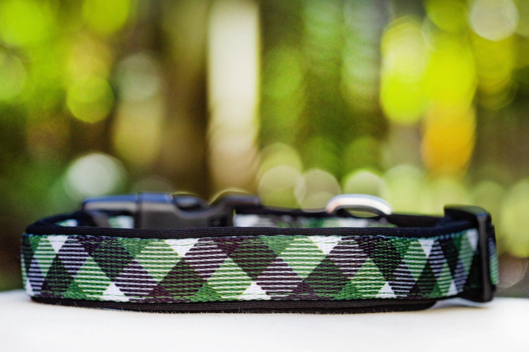 Green Plaid Dog Collar (Premade)-Dog Collar-Dizzy Dog Collars