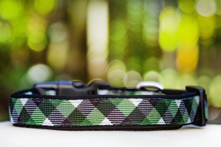 Green Plaid Dog Collar (Premade)-Dog Collar-Dizzy Dog Collars