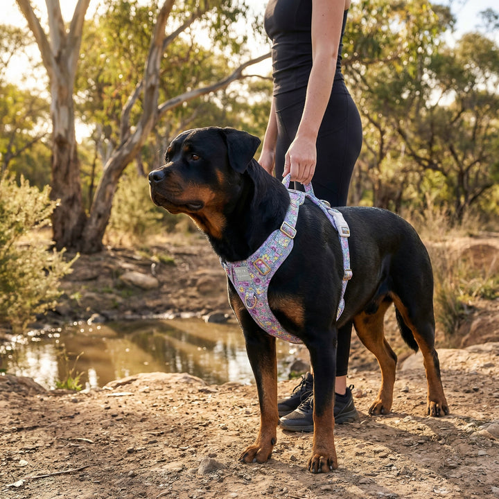 Floral Fable No Pull Dog Harness with Handle | Step In & Reflective