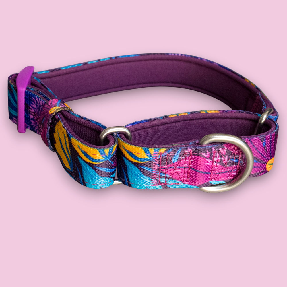 Sapphire Showers Martingale - Dizzy Dog Collars