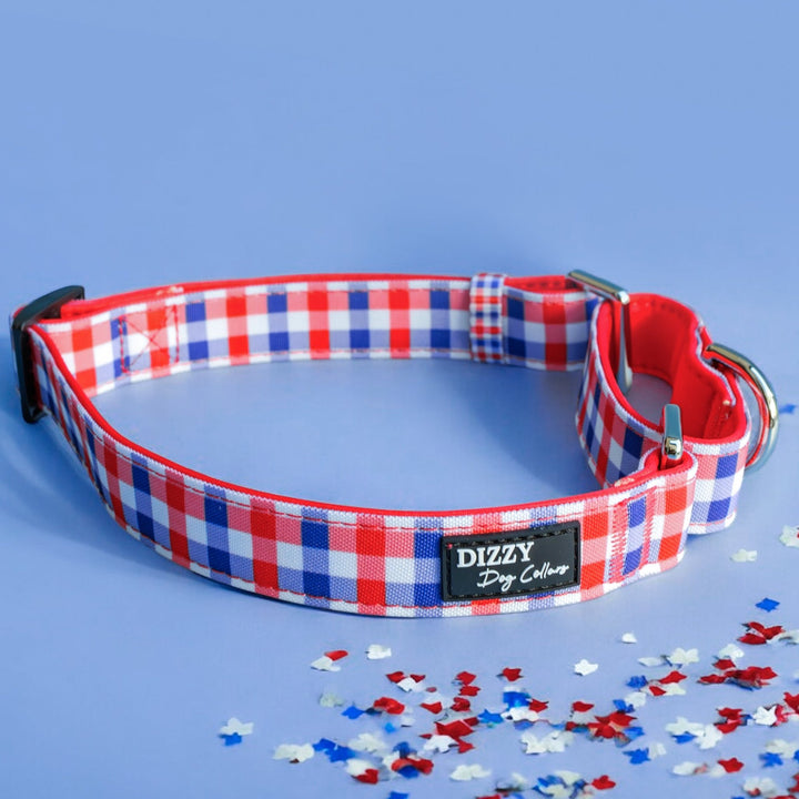 Martingale Dog Collar Red Blue Gingham