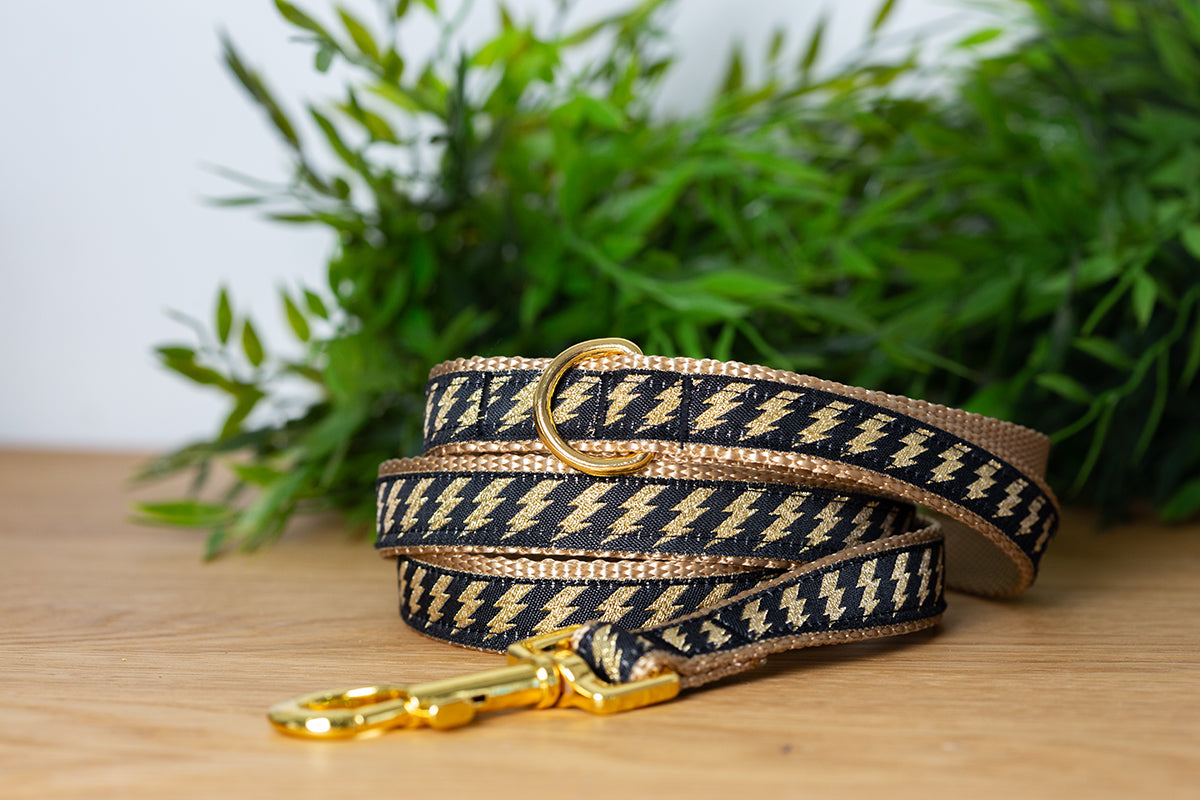 Gold Bolt Dog Leash / Gold Dog Lead-Dizzy Dog Collars-Dizzy Dog Collars
