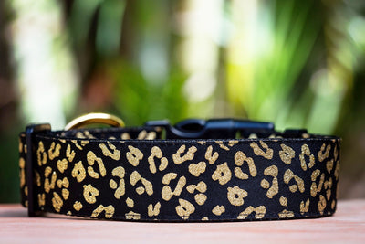 Gold Leopard Print Dog Collar 1.5" Wide / Gold Glitter-Dog Collar-Dizzy Dog Collars-Medium-Dizzy Dog Collars