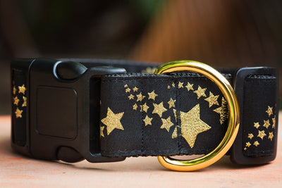 Gold Shooting Stars Dog Collar 1.5" Wide / Gold Glitter-Dog Collar-Dizzy Dog Collars-Medium - Buckle Collar-Dizzy Dog Collars