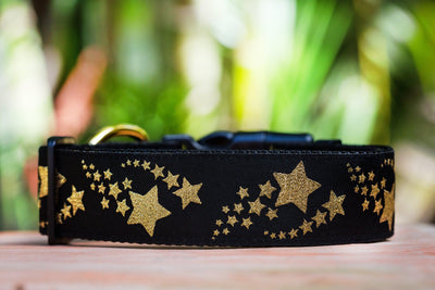 Gold Shooting Stars Dog Collar 1.5" Wide / Gold Glitter (Handmade to order)-Dog Collar-Dizzy Dog Collars
