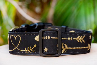 Golden Arrows Dog Collar | Handmade to order & Australian Made | Standard & Extra Wide Widths-Dog Collar-Dizzy Dog Collars