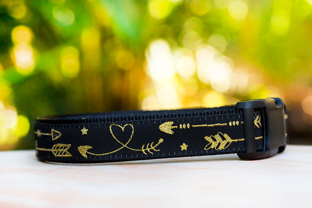 Golden Arrows Dog Collar | Handmade to order - Australian Made | Standard & Extra Wide Widths-Dog Collar-Dizzy Dog Collars