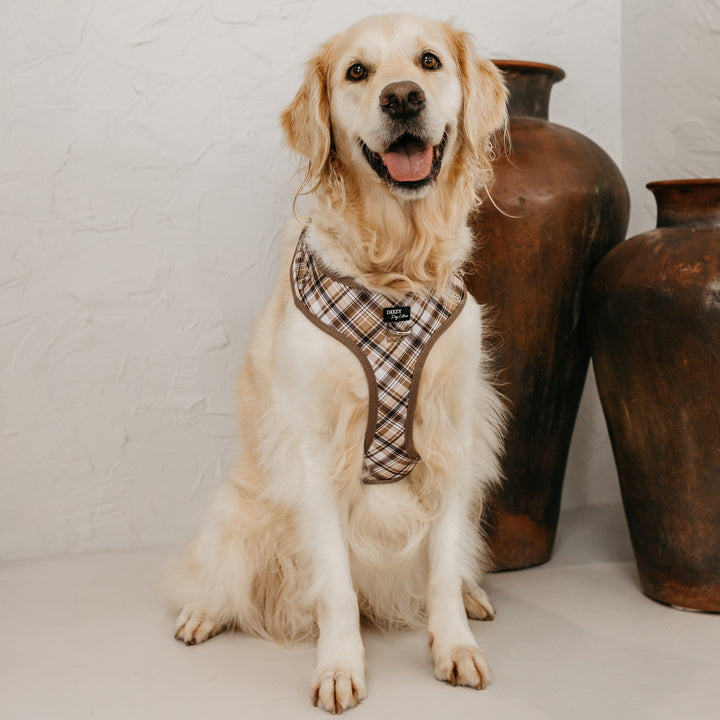DOG HARNESS | Maplewood: Caramel & Brown Plaid | Neck Adjustable Dog Harness