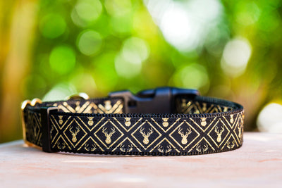 Gold Stag Dog Collar | Handmade to order-Dizzy Dog Collars