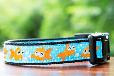 Goldfish Dog Collar / XS-XL-Dog Collar-Dizzy Dog Collars-XS 5/8” (1.5cm) Wide-Dizzy Dog Collars
