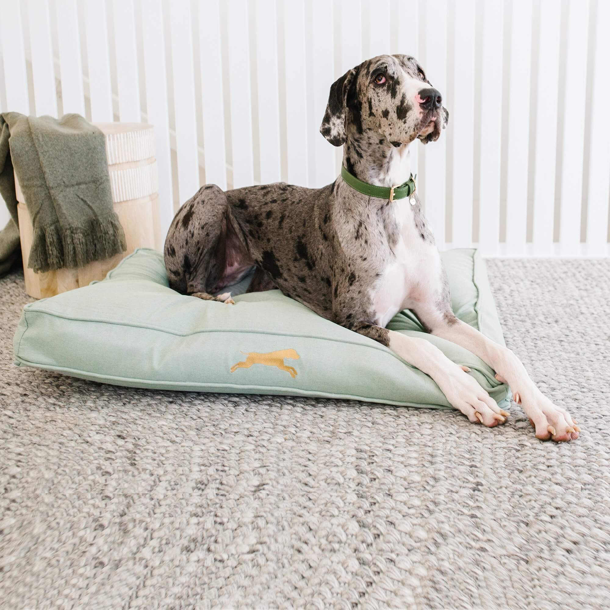 Large Designer Memory Foam Dog Bed in Linen Grey Zip Pay Dizzy Dog Collars