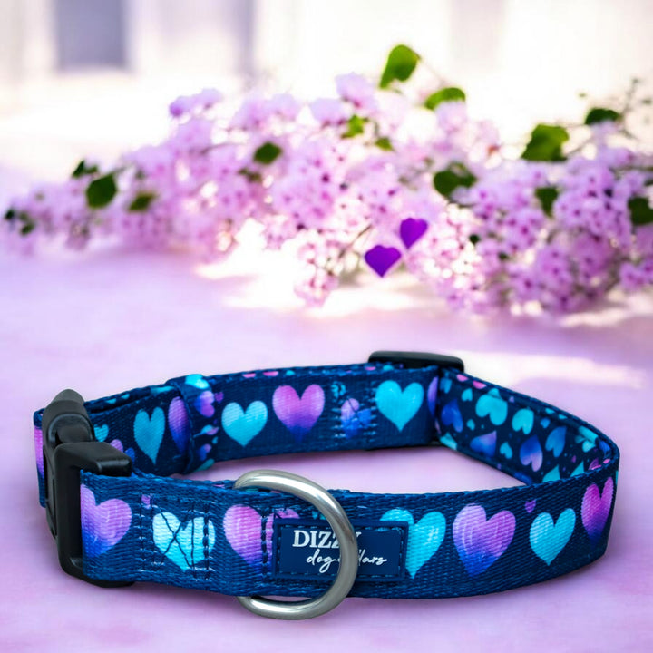 Hearts & Harmony Dog Collar | Neoprene Dog Collar