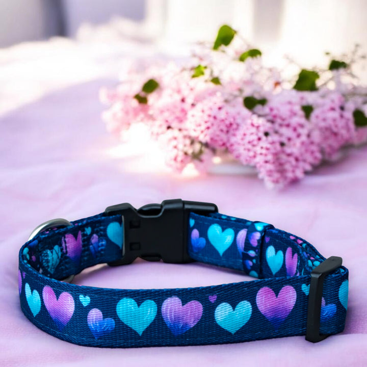 Hearts & Harmony Dog Collar | Neoprene Dog Collar