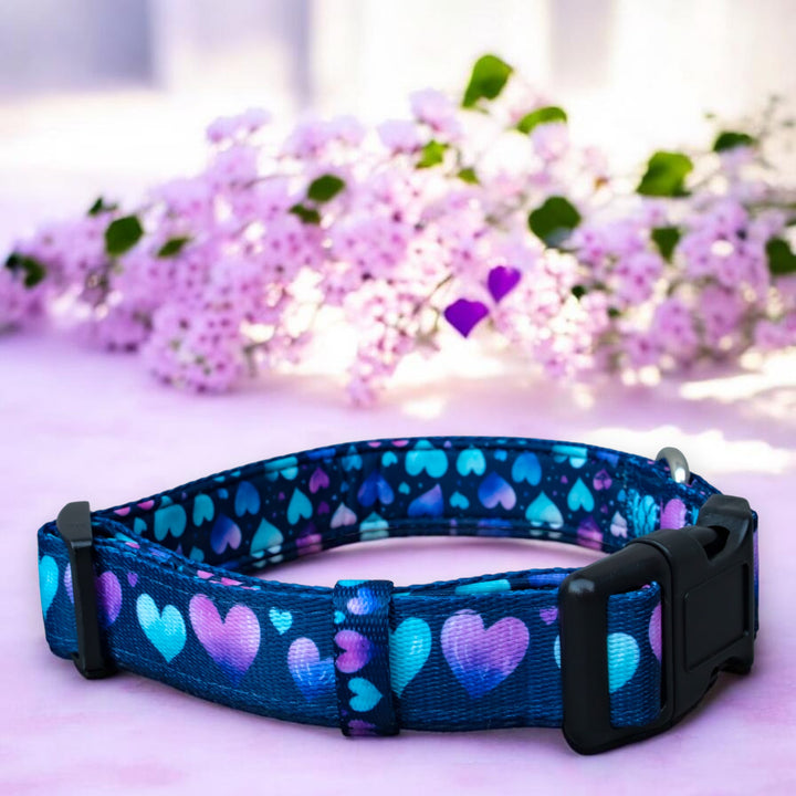 Hearts & Harmony Dog Collar | Neoprene Dog Collar