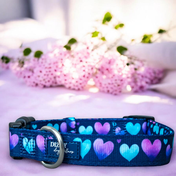Hearts & Harmony Dog Collar | Neoprene Dog Collar
