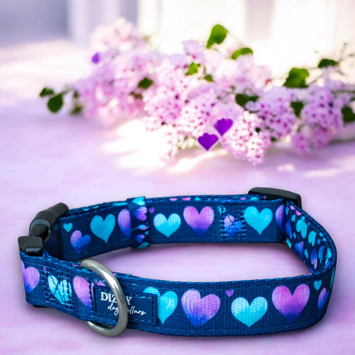 Hearts & Harmony Dog Collar | Neoprene Dog Collar