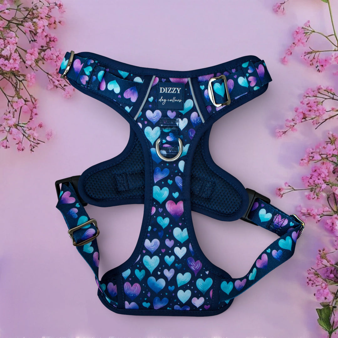 Hearts & Harmony No Pull Dog Harness with Handle | Step in & Reflective | STAINLESS STEEL | Hearts & Harmony