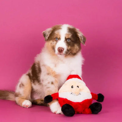 Holiday Brainey - Santa | Zippy Paws-Dizzy Dog Collars