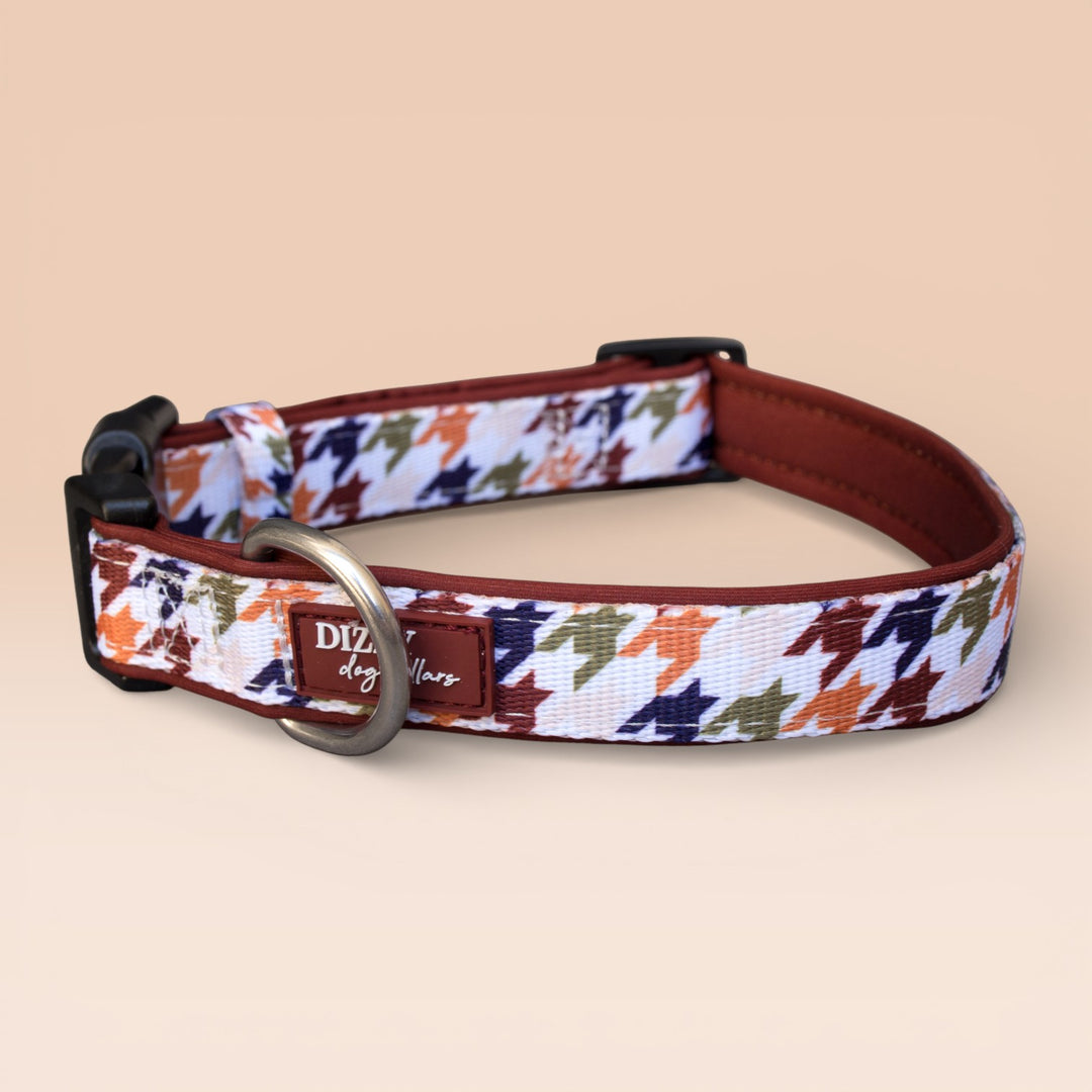 Heritage Hound Dog Collar | Neoprene Dog Collar | Stainless Steel