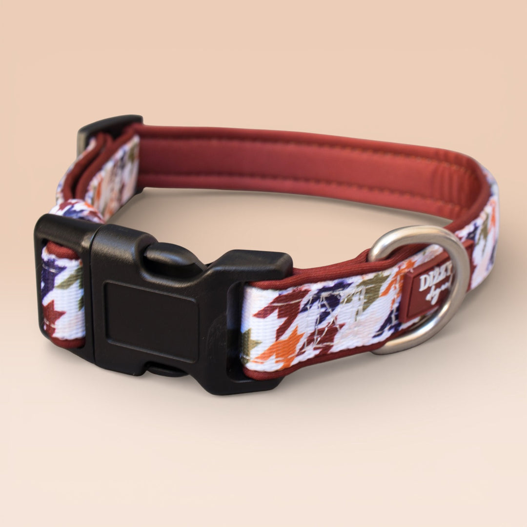 Heritage Hound Dog Collar | Neoprene Dog Collar | Stainless Steel