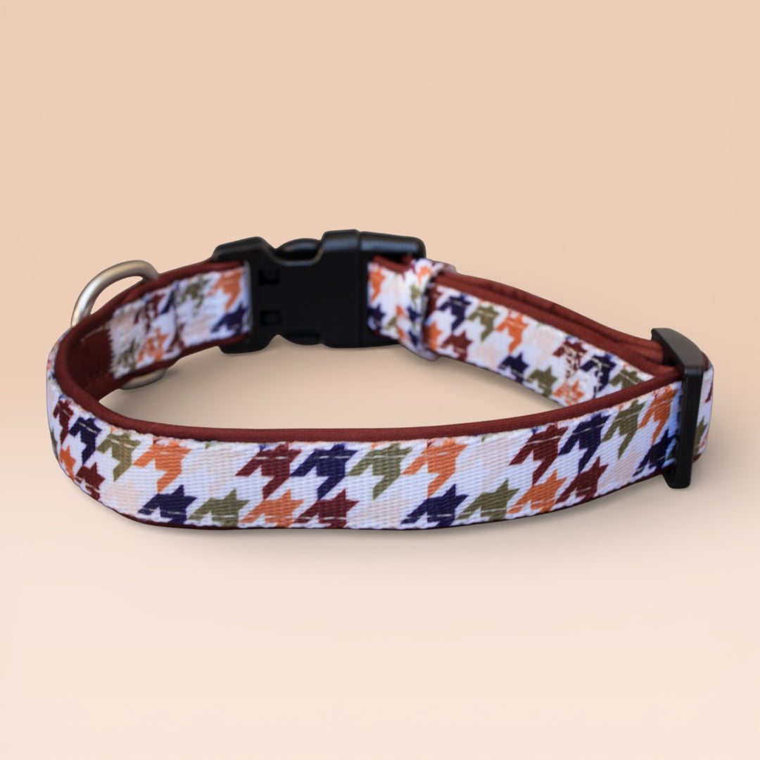 Heritage Hound Dog Collar | Neoprene Dog Collar | Stainless Steel