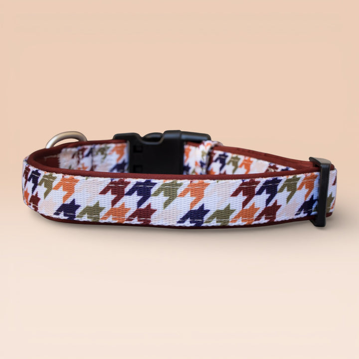 Heritage Hound Dog Collar | Neoprene Dog Collar | Stainless Steel