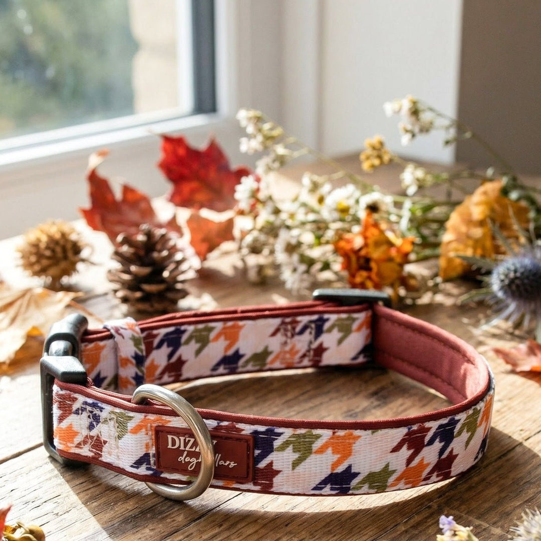 Dog collar with autumn leaf pattern on a wooden table with fall decorations