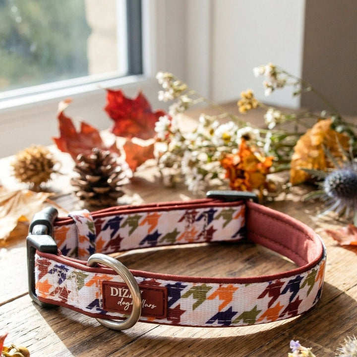 Dog collar with autumn leaf pattern on a wooden table with fall decorations