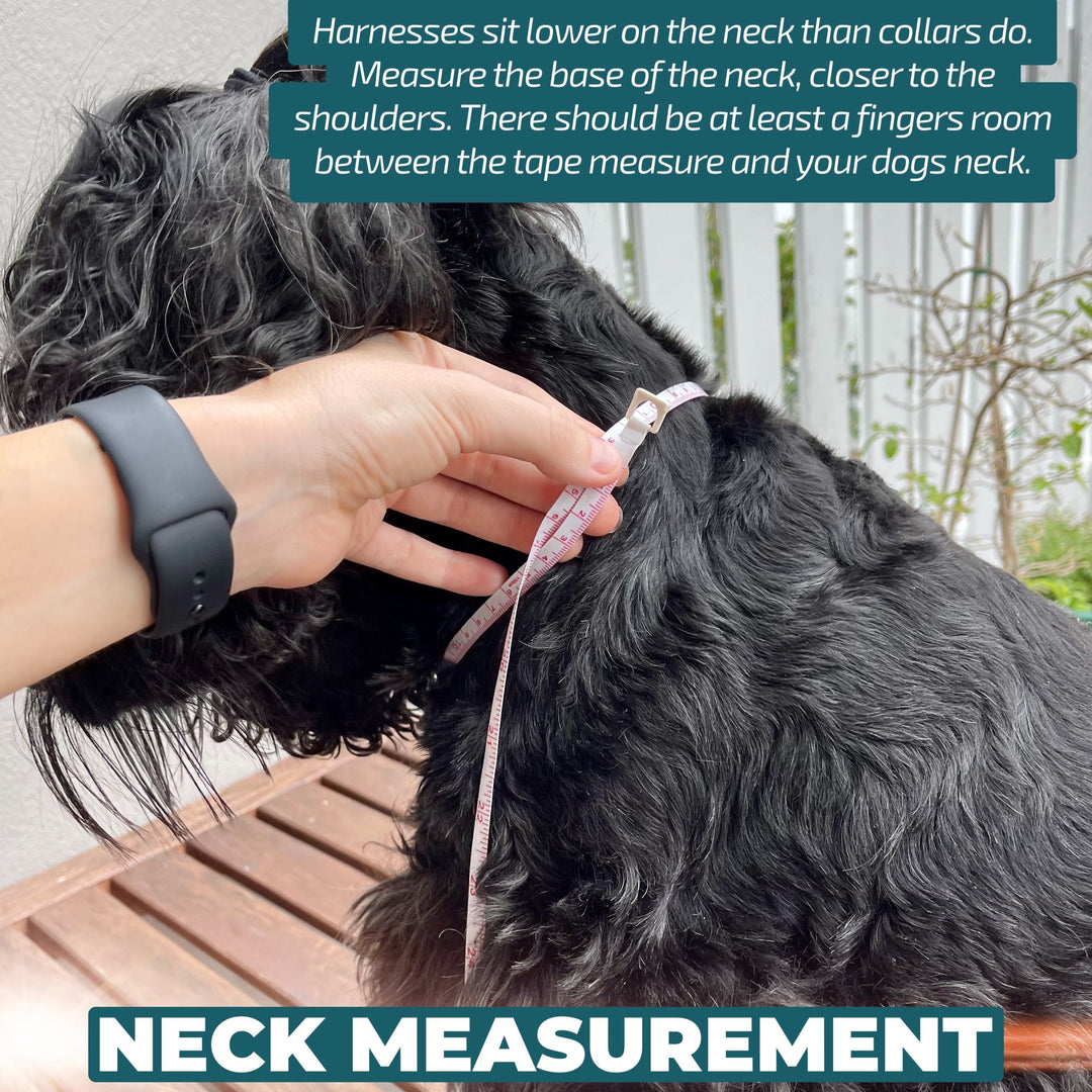 DOG HARNESS | Darling Daisy: Pink Daisy | Neck Adjustable Dog Harness