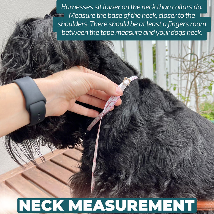 A person measuring a dog harness on a black dog, with text instructions for 'NECK MEASUREMENT'. The harness is adjustable, and the measuring tape is placed around the dog's neck.