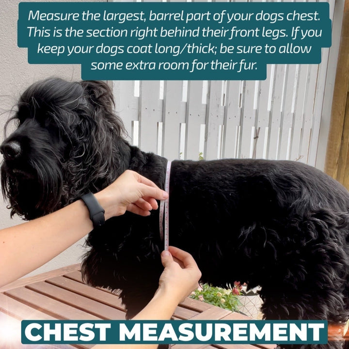 DOG HARNESS | Darling Daisy: Pink Daisy | Neck Adjustable Dog Harness