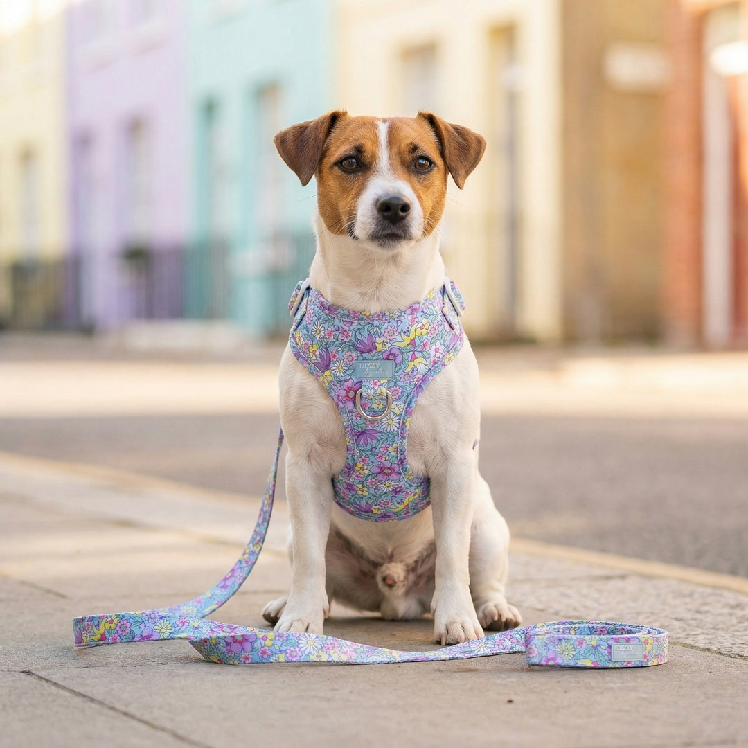 DOG HARNESS | Floral Fable | Neck Adjustable Dog Harness