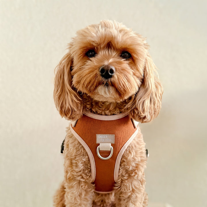 The Chai Adjustable Dog Harness | Chai & Beige | Front & Back D-Rings