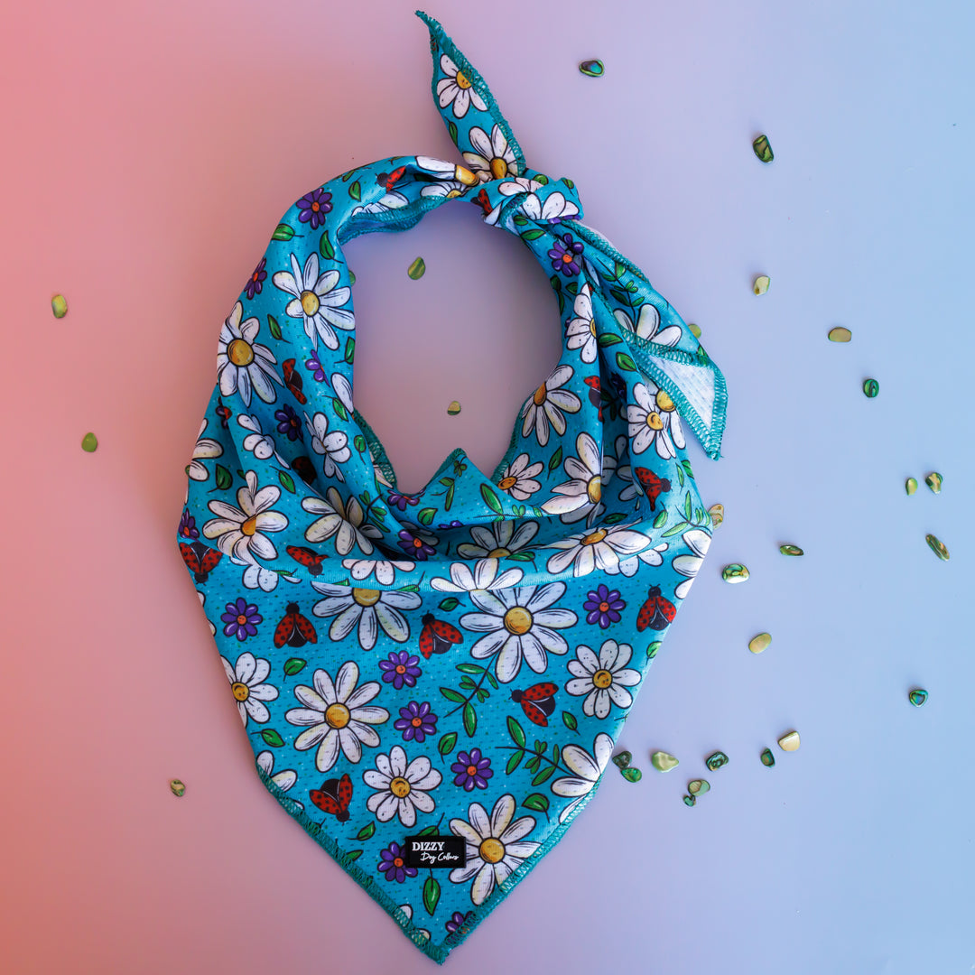 Ladybird Lane Tie Up Dog Bandana