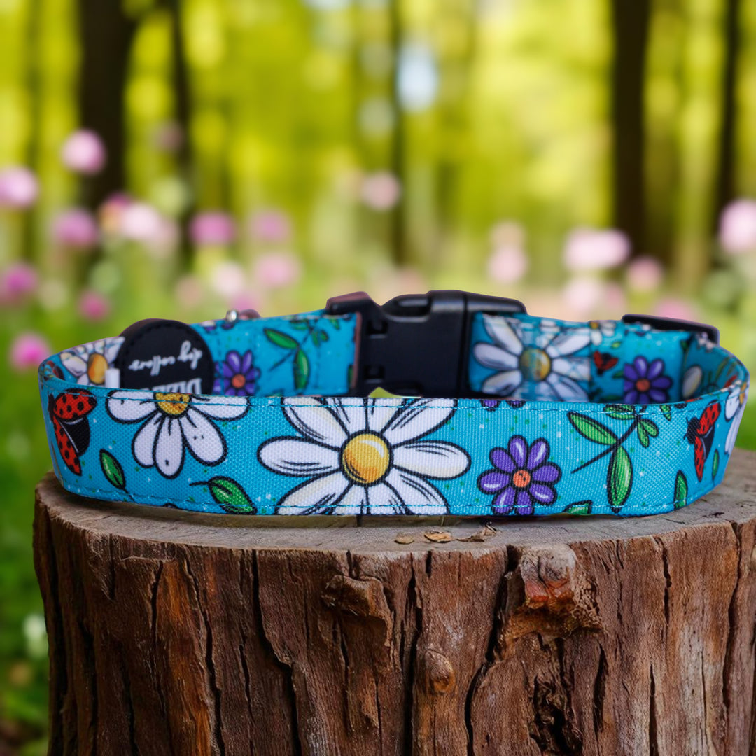 Ladybird Lane Dog Collar | Canvas & Neoprene Dog Collar